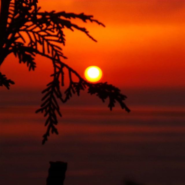  nikontop_  nikonworld  bns_sky  bns_sunset  naturelovers  unlimitedsunset... (Radio voix du liban 93.3 - اذاعة صوت لبنان)