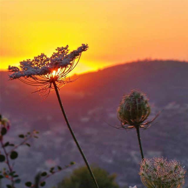  nikontop_  nikonworld  bns_sky  bns_sunset  naturelovers  unlimitedsunset... (Beit Ed-Deen, Mont-Liban, Lebanon)