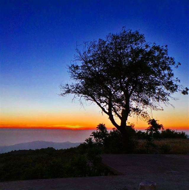  nikontop_  nikonworld  bns_sky  bns_sunset  naturelovers  unlimitedsunset... (Jabal Al Salib - Deir El Kamar)