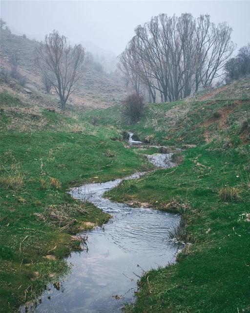'no river can return to its source; yet all rivers must have a... (El Laklouk, Mont-Liban, Lebanon)