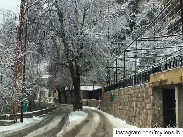 "No winter lasts forever, no spring skips its turn."--Hal Borland ehden ... (Ehden, Lebanon)