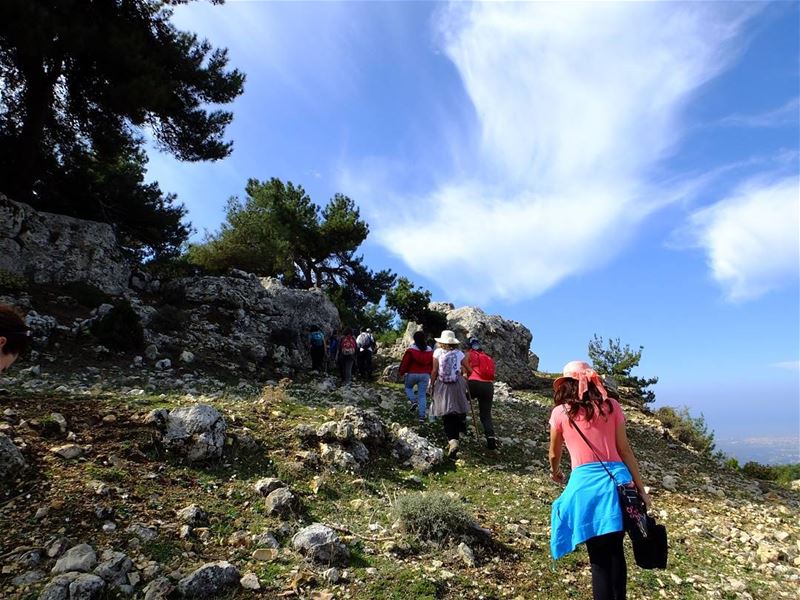  northlebanon  hikes  green  travel  trees  nature  culture  hiking ...