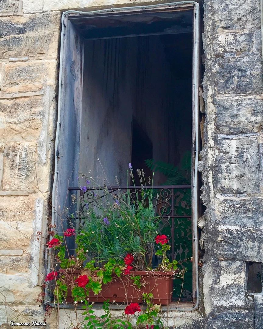  nostalgia  old  oldhouse  window  heritage  flowers  abandoned  dibiyee...