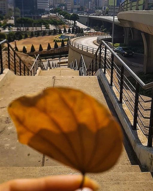 Not pale .. but Gold,,No wrinkles.. but Life pathways..No steady shape,,... (Beirut, Lebanon)