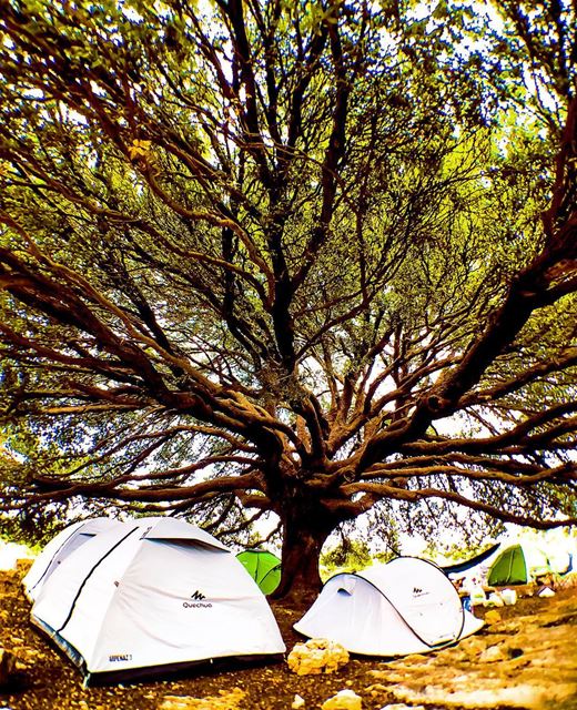 Not your average site camp with @decathlonleb topmycampingspot ... (Batroun District)
