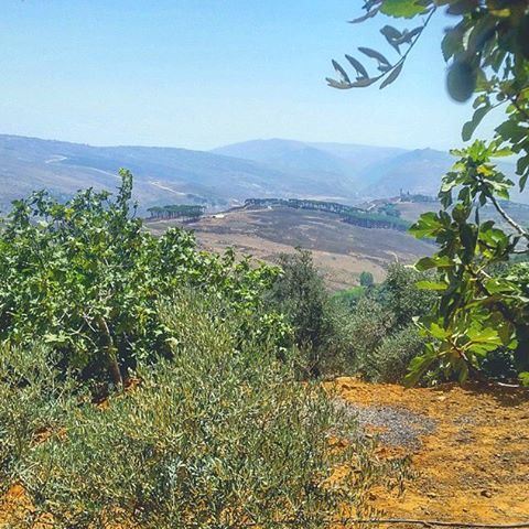 Nothing's better than seeking between the hills.. Send your photos dm. 📷 (Aishiye)