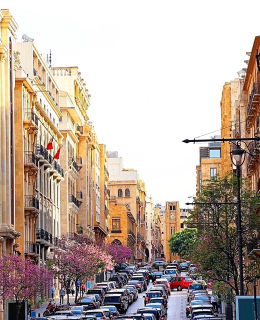 O Líbano dá as boas vindas à primavera 🇱🇧 Lebanon welcomes spring ... (Downtown Beirut)