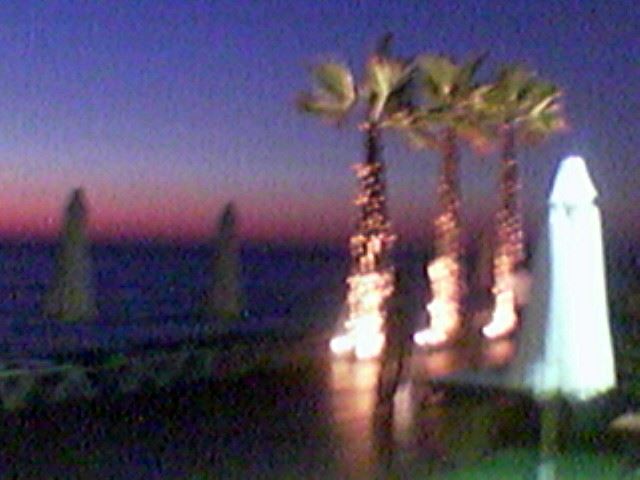 Oceana Beach Damour 2005