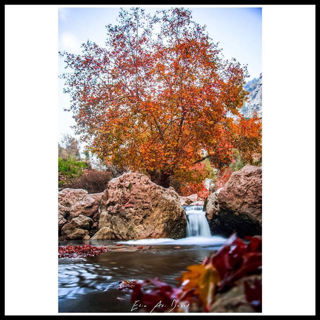October 🍁 🍂  autumn  fall  october  river  trees  leaves  amazing ...