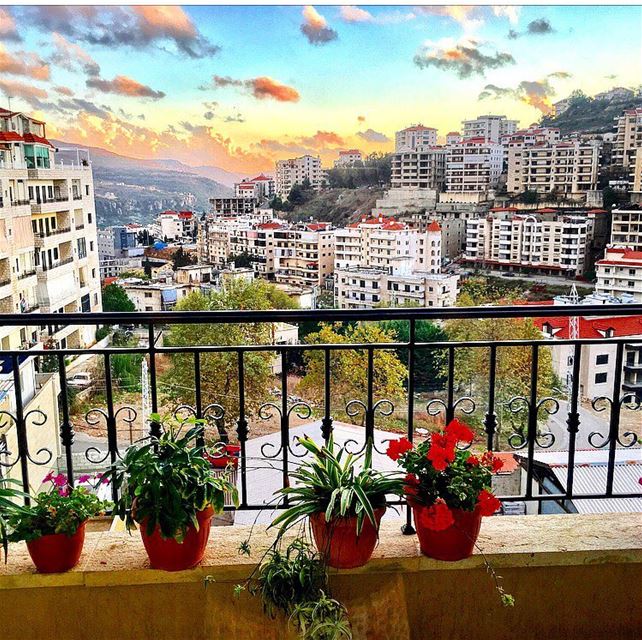 October flowers 🌸💕 Autumn  october  balcony  sky  view  flowers ... (Aley)