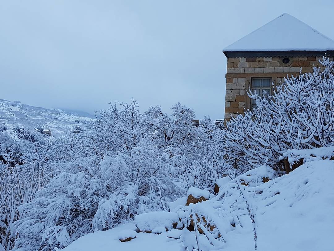 Old but Gold  faraya  snow  storm  lebanon  mountains  freshsnow  old ... (Faraya, Mont-Liban, Lebanon)