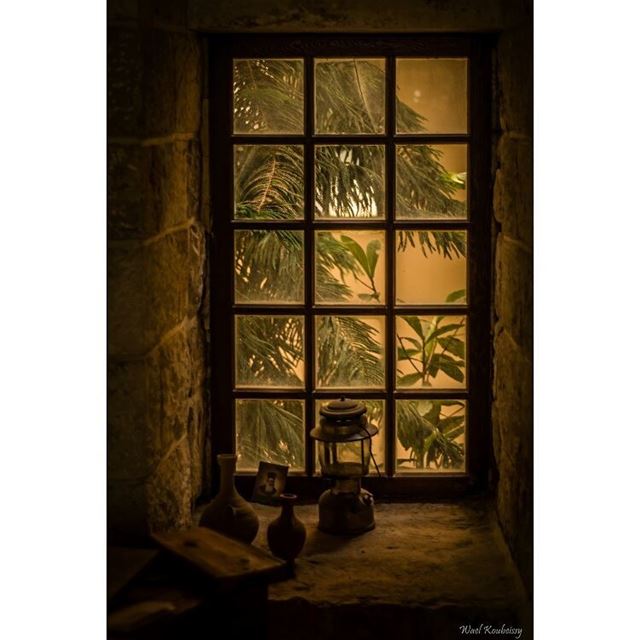  old  room  window  monastery  windows  tree  photo  light  sun ... (دير المخلص العامر)
