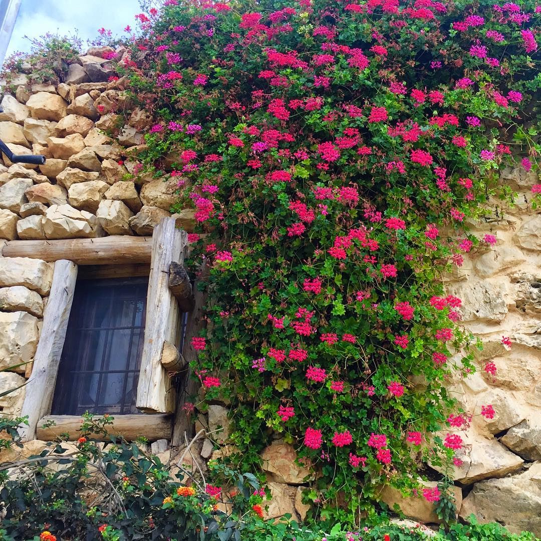  oldbutgold  rose tradional  window lebanonspotlights  lebanontimes ... (Arnaoon Village- Batroun)