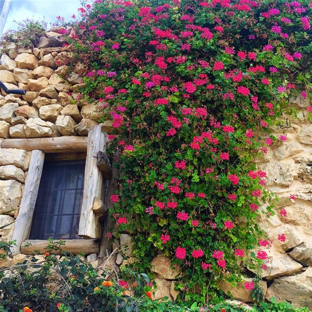  oldbutgold  rose tradional  window lebanonspotlights  lebanontimes ... (Arnaoon Village- Batroun)