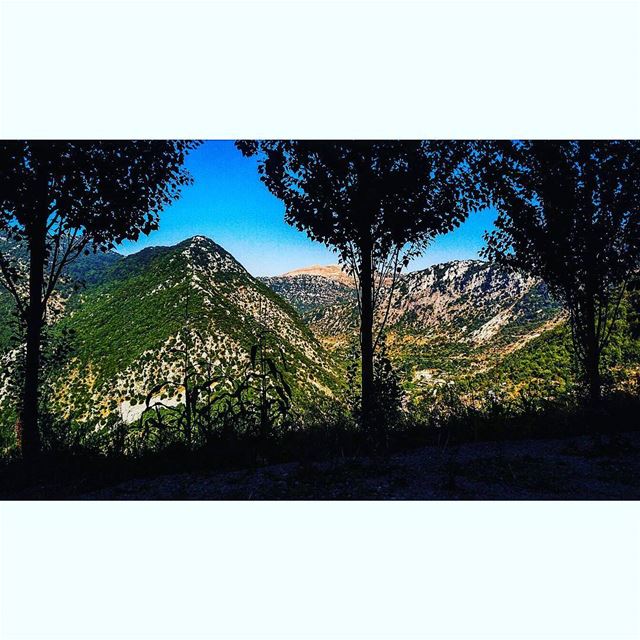 On the lookout for love. igersoftheday  igerbeirut  mountains  ptk ...