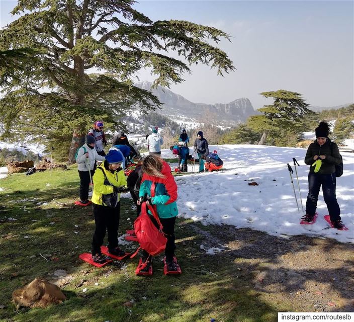 On the top of Niha ❄️🌲.. routes  peak  nihamointain  snowshoeing ... (Niha, Liban-Nord, Lebanon)