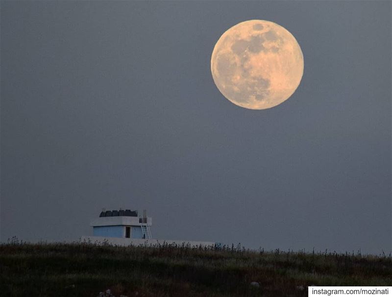 Only a true wolf will fall in love with the moon..😍 ====================== (Kfar Tibnît, Al Janub, Lebanon)