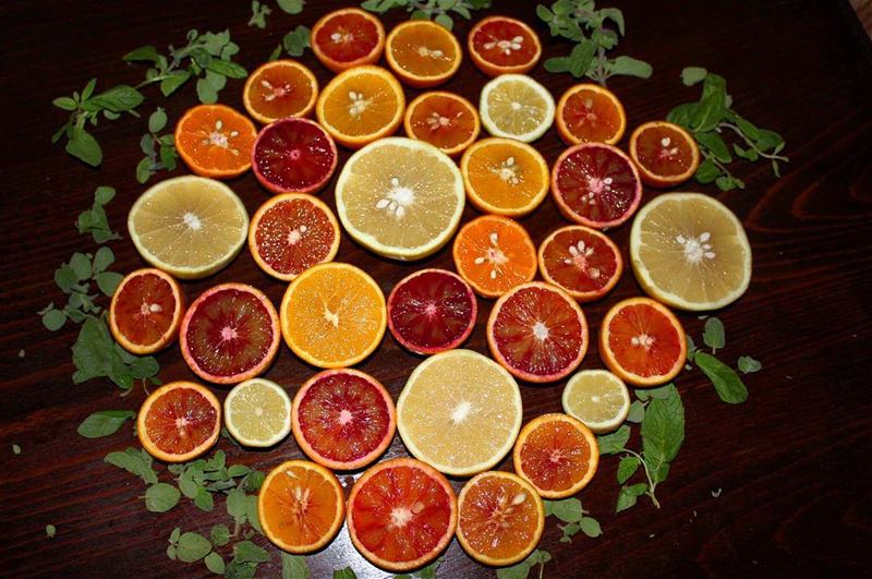  orange  multicolor  nature  colorful  lebanesefruits  winterfruits ... (Ghaziyé, Al Janub, Lebanon)
