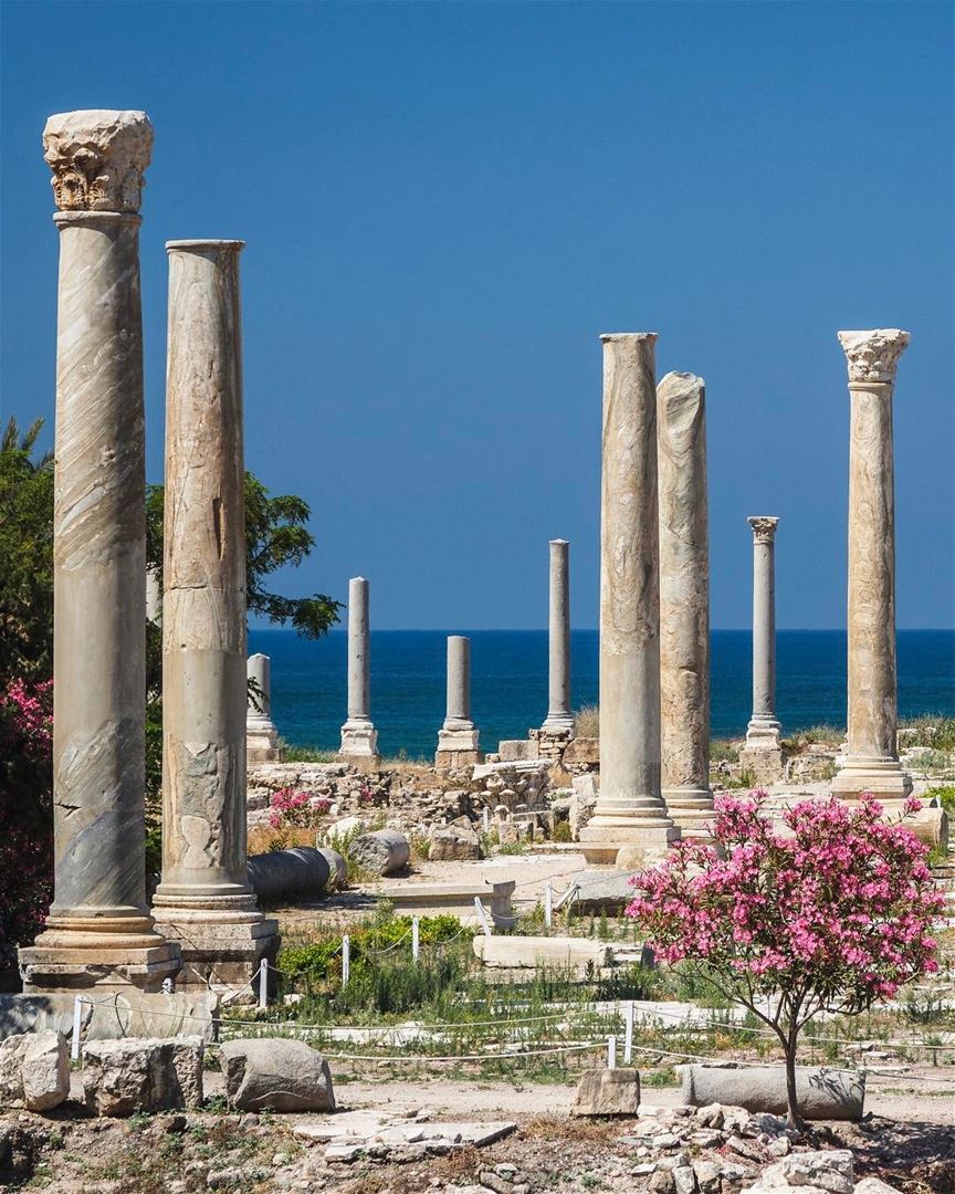 Os romanos colonizaram a cidade fenícia de Tiro em 64 A.C. e muitos... (Roman ruins in Tyre)