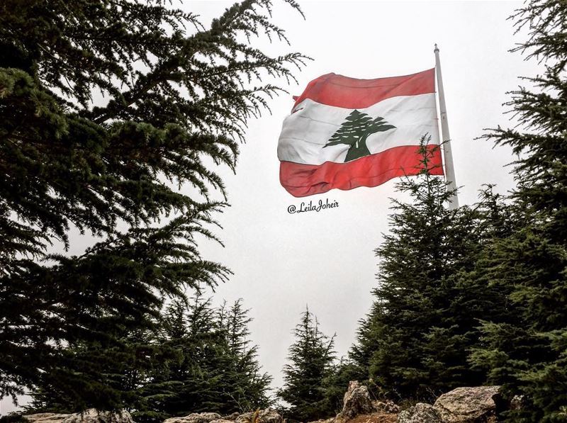 Our flag doesn't fly because the wind moves it...it flies with the last... (Falougha, Mont-Liban, Lebanon)