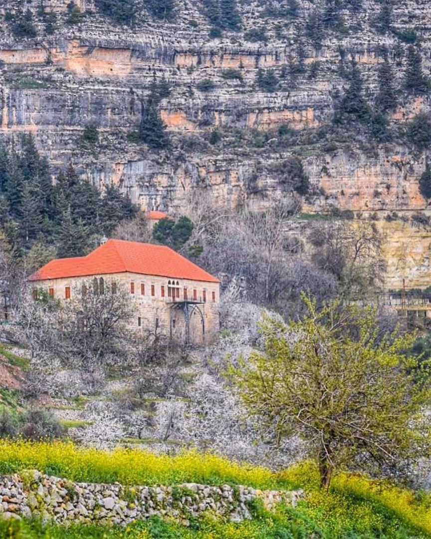 Our Lord has written the promise of resurrection, not in books alone, but... (Ehden, Lebanon)