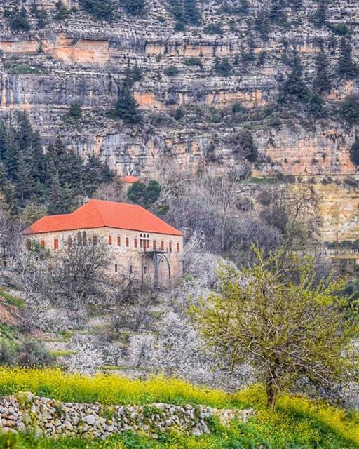 Our Lord has written the promise of resurrection, not in books alone, but... (Ehden, Lebanon)