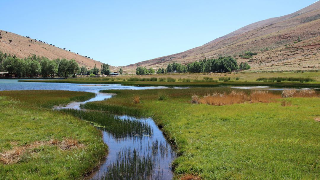Our View at Lunch gorgeous  wetlands  oyounorghosh  bekaa  lebanon ... (Oyoun oreghoch)