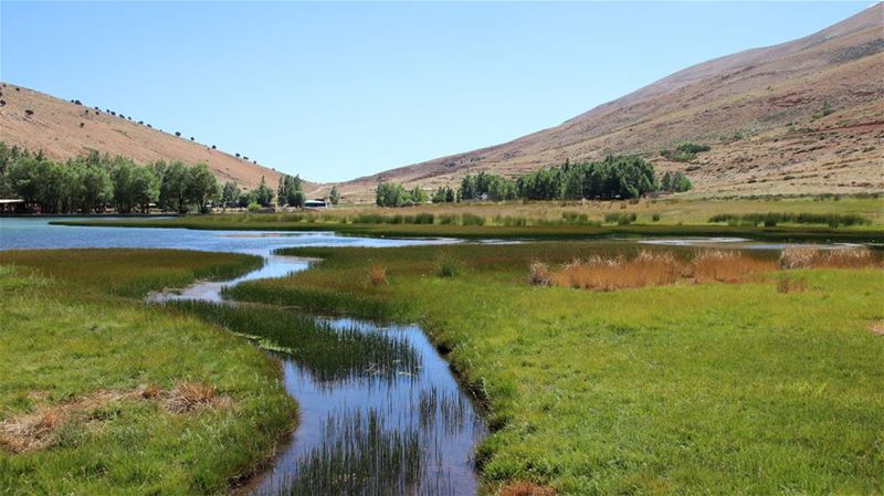 Our View at Lunch gorgeous  wetlands  oyounorghosh  bekaa  lebanon ... (Oyoun oreghoch)