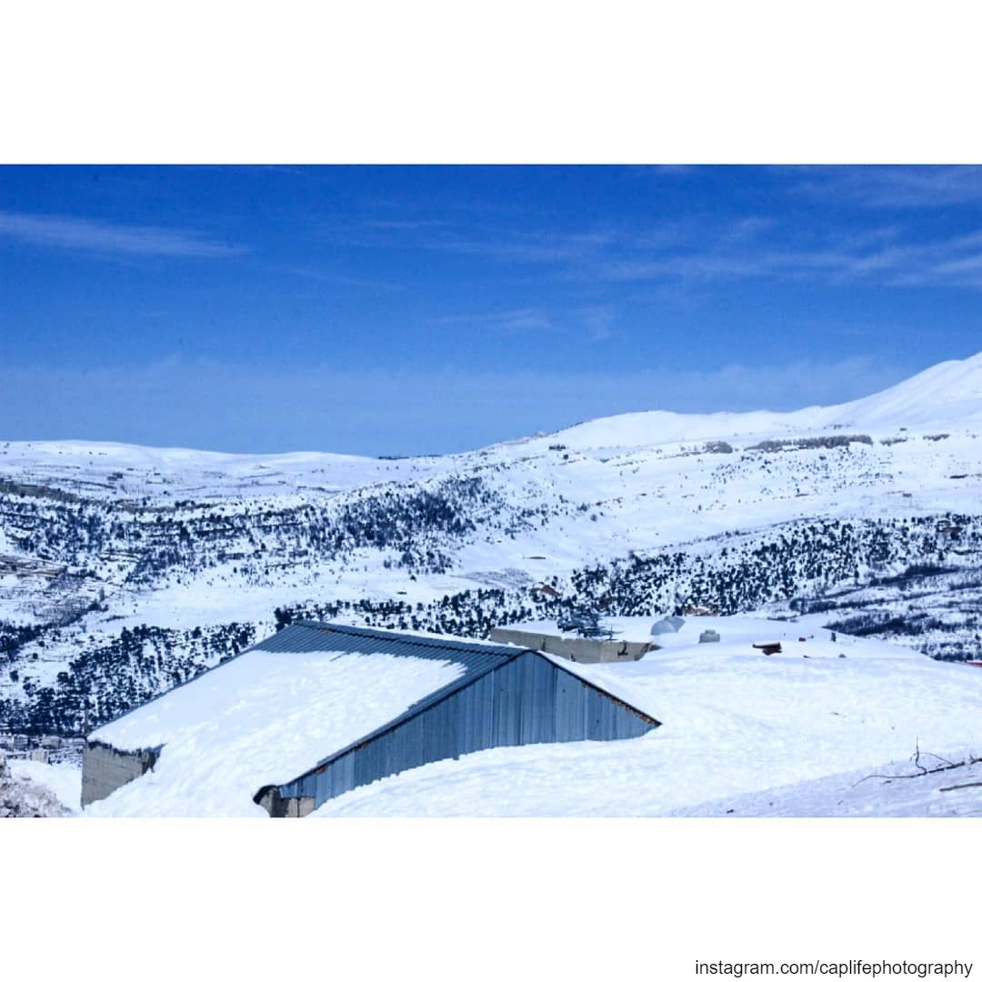 P.E.A.C.E ☀️❄️  lebanon  zaarour  beauty  snow  landscape  beautiful ... (Zaarour)