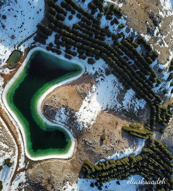 Pacman 🌲🌲🌲... lake  dronestagram  dronephotography ... (Arz el Bâroûk)