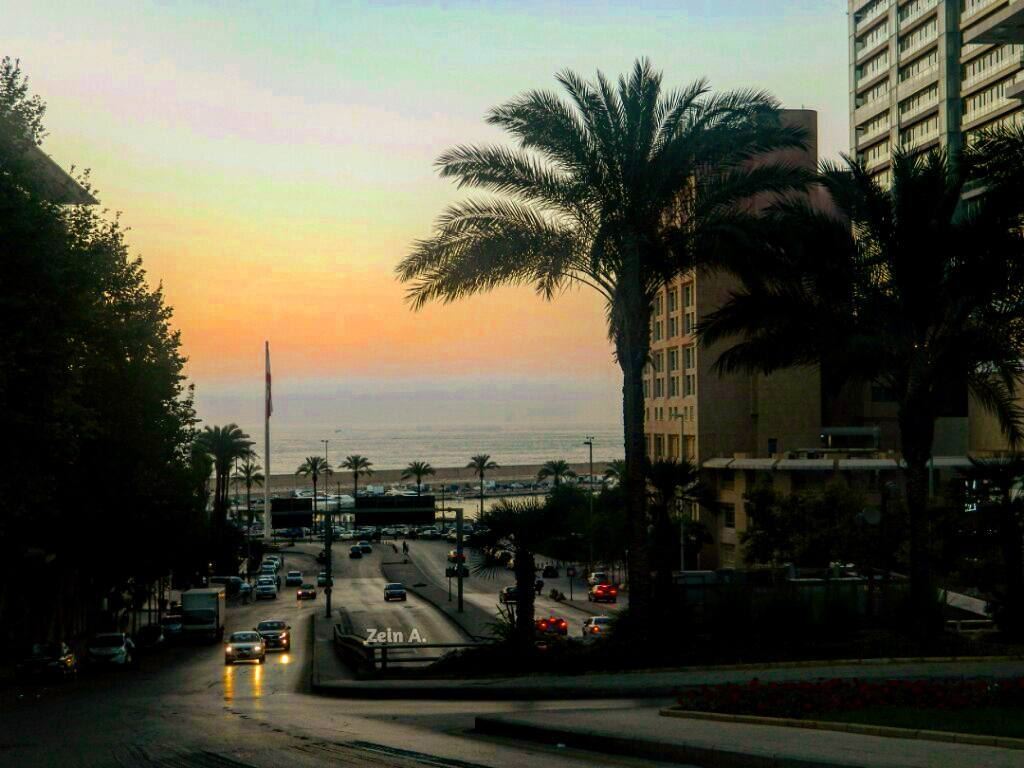  palmtrees  sunset  sea  streetphotography  cars  out  outdoors  noperson ... (Minet el Hosn)