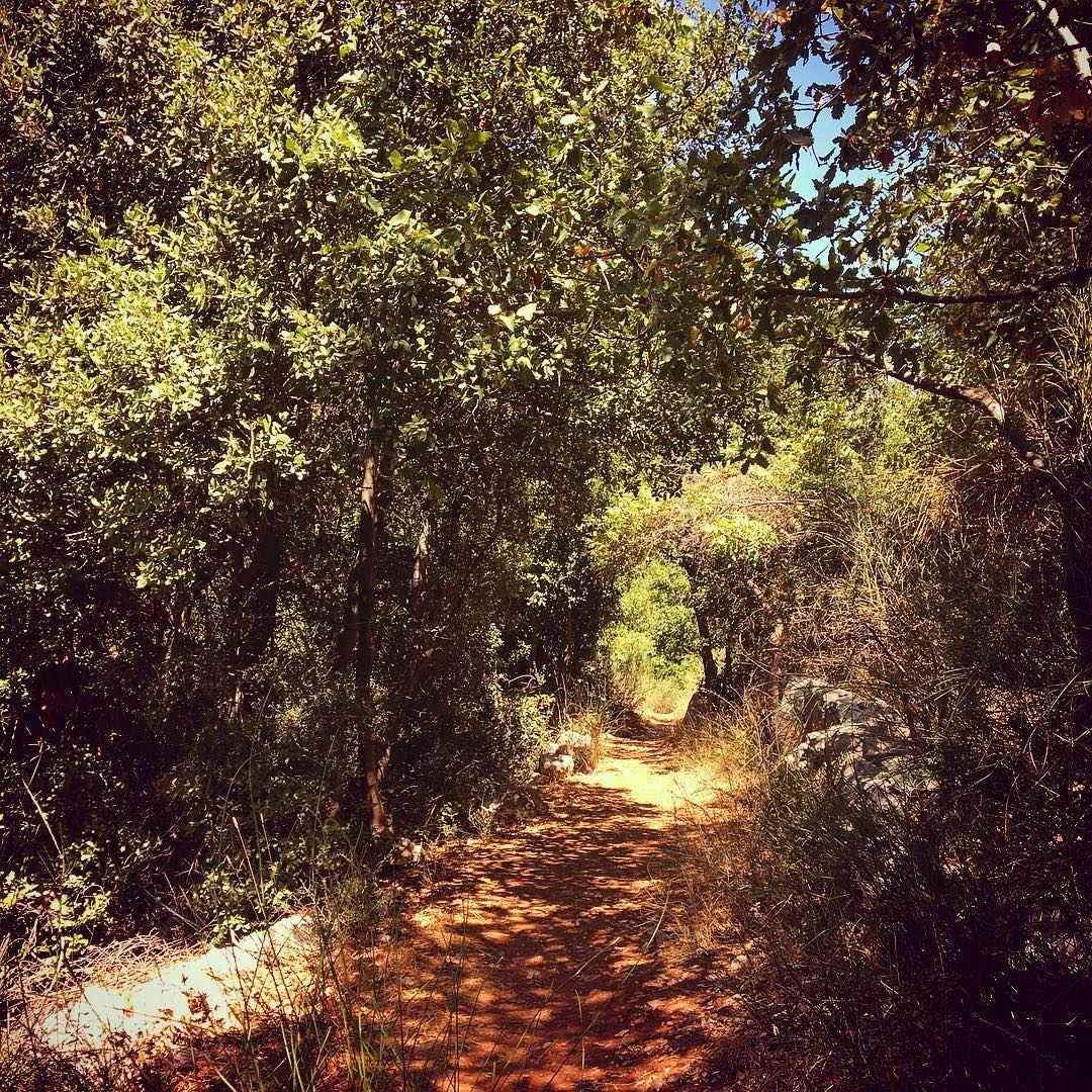 Paths are made by walking. Franz Kafka lebanon  wadisalib  kfardebian ... (وادي الصليب)