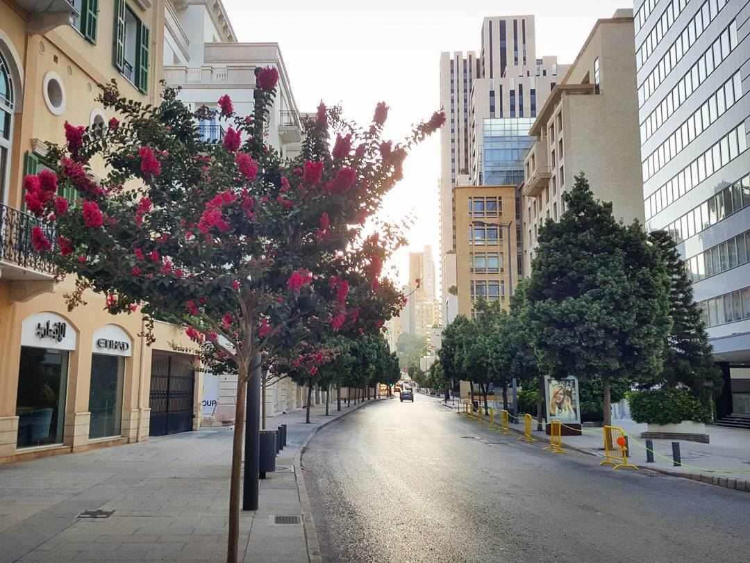 Pause and breathe deeply..Restart your Monday with much gratitude &... (Beirut, Lebanon)