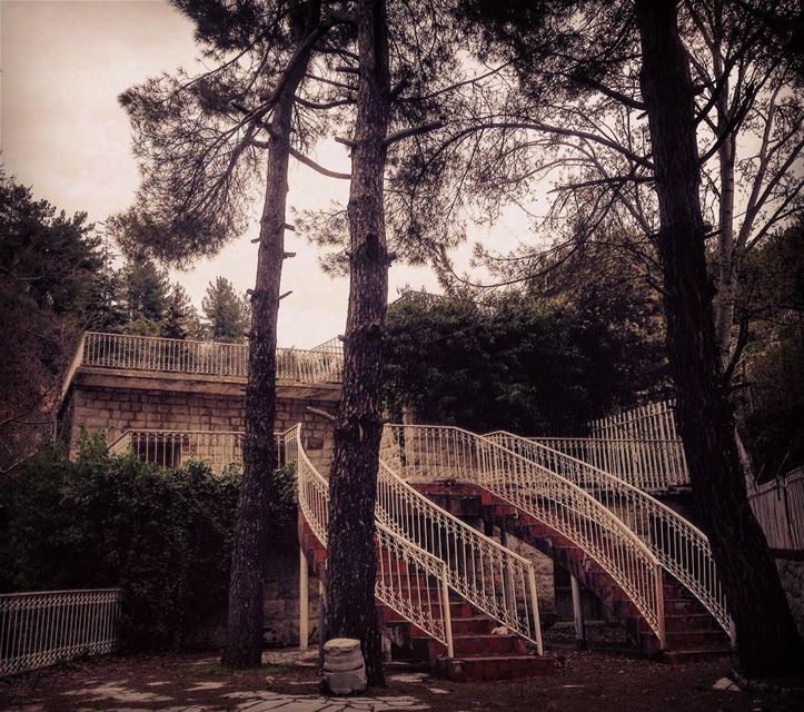  photography  house  abandonedplaces  architecture  trees  stairs ... (Qnât, Liban-Nord, Lebanon)