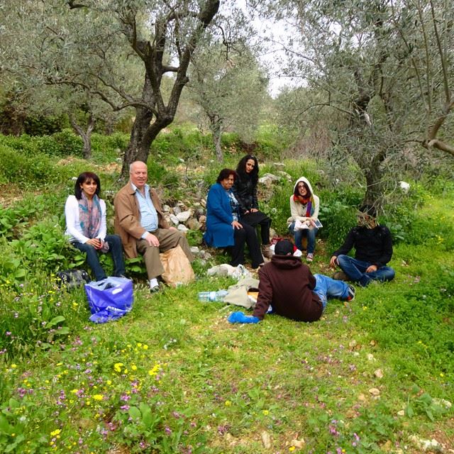 picnicing picnik family bestplace olivetrees garden orchard springspirit mountain discoverlebanonsnature bestmoment