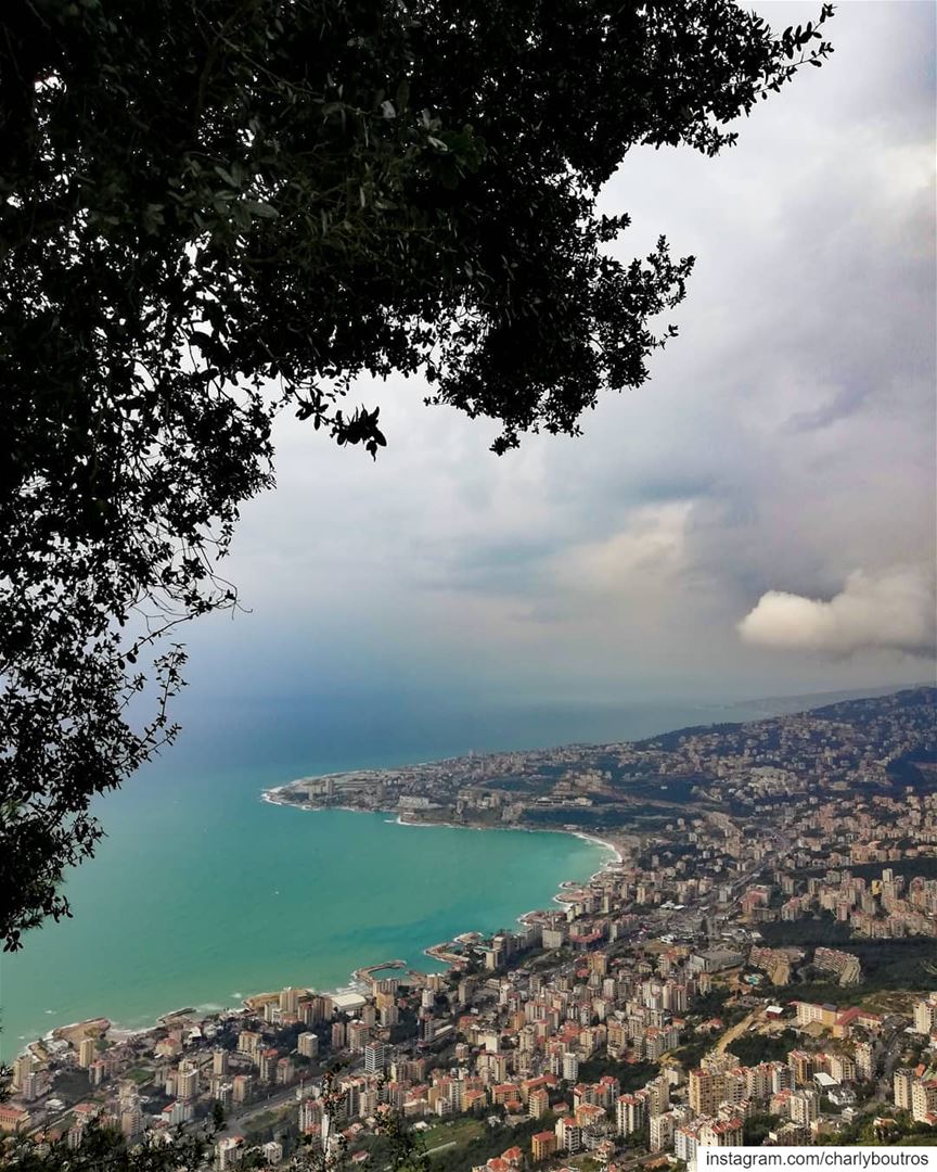  picoftheday  sunday  view  naturephotography  wintertime  instaweather ... (Harîssa, Mont-Liban, Lebanon)