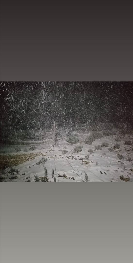 Pictures of snow rain and flood from the storm Norma