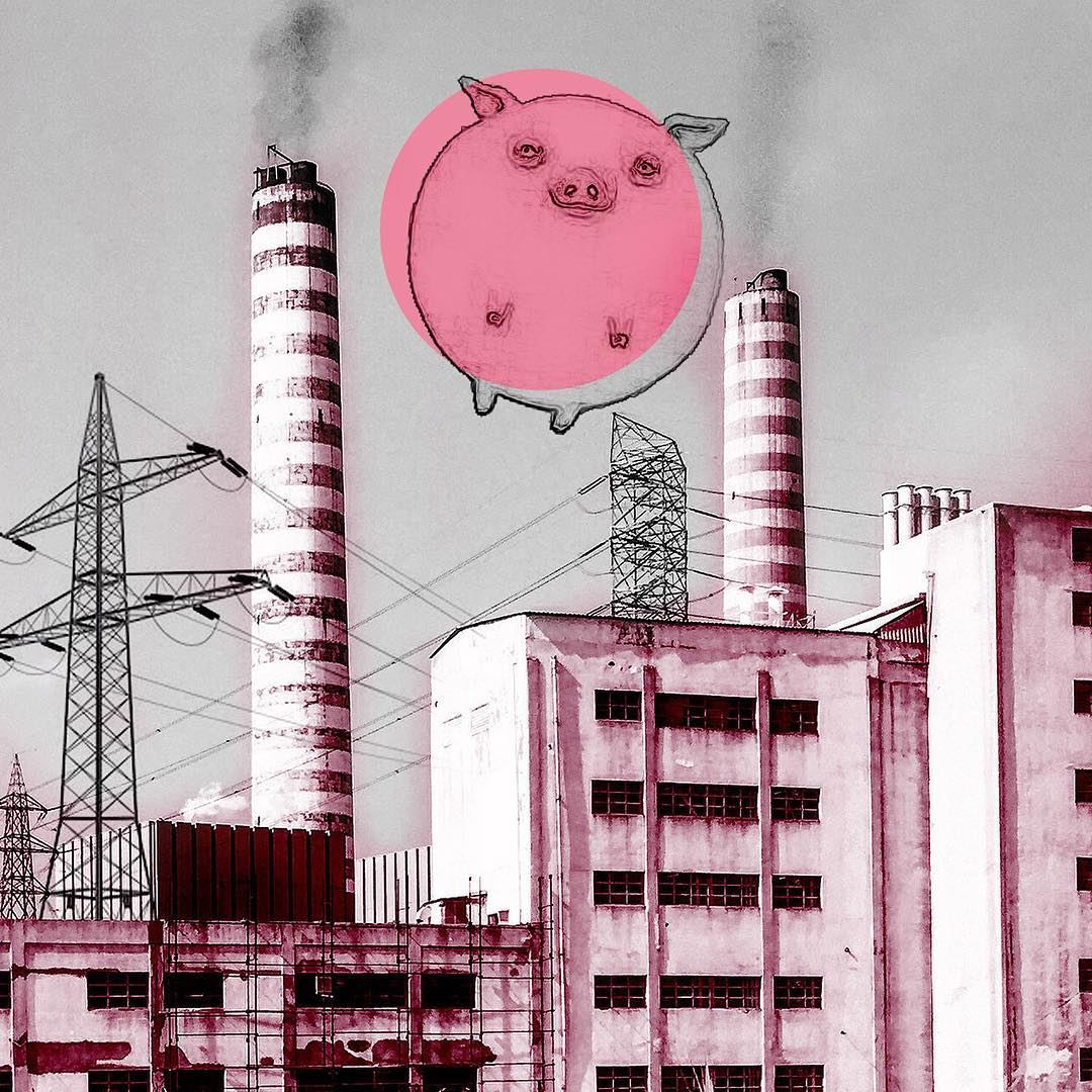 -Pigs might fly  pinkfloyd -... art  liveloveart  illustration ... (Zouk Mosbeh)