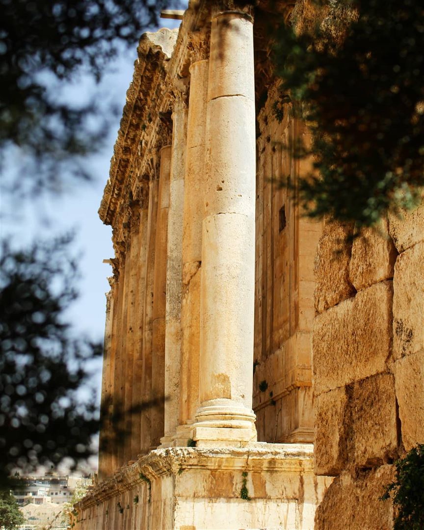 Pillars! pillars  temple  perspective  architecture  photography  history... (Temple of Bacchus)