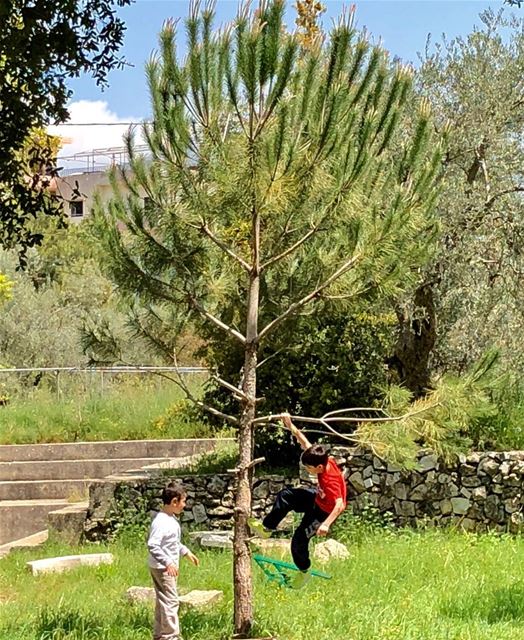 Playing with trees, not PlayStation.  kidsplaying  trees  lebanon ...