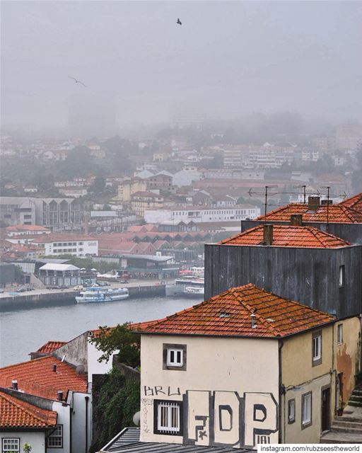 Porto, Lisbon: hiding behind the fog. rubzseestheworld... femmetravel... (Porto, Portugal)