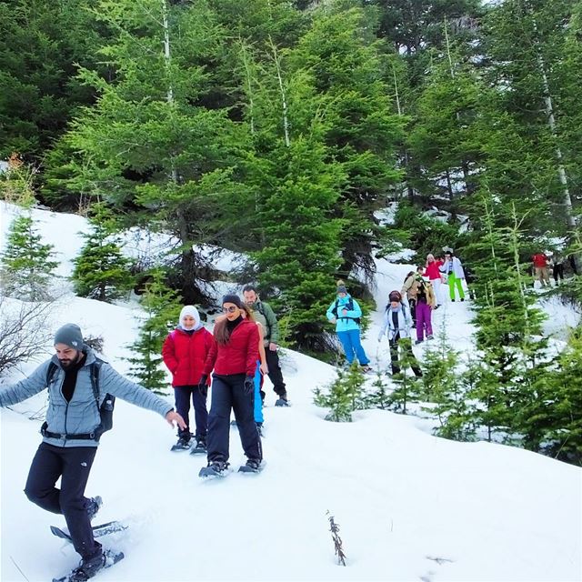  promaxsports  ehden  snowshoeinglebanon  mashiya  snowshoeing  hiking ... (Ehden, Lebanon)
