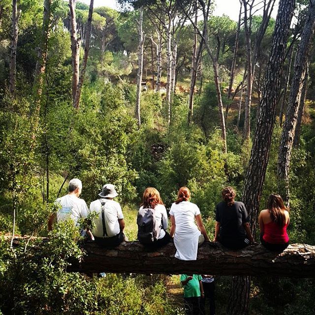  promaxsports  hiking  lebanese  trails  hikinglebanon  green  culture ... (Broummâna, Mont-Liban, Lebanon)