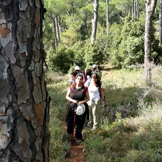 promaxsports  hiking  lebanese  trails  hikinglebanon  green  culture ... (Brummana)