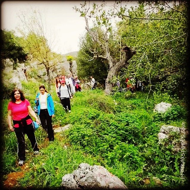  promaxsports  hiking  trails  Lebanon Join ProMax every Sunday. RSVP....
