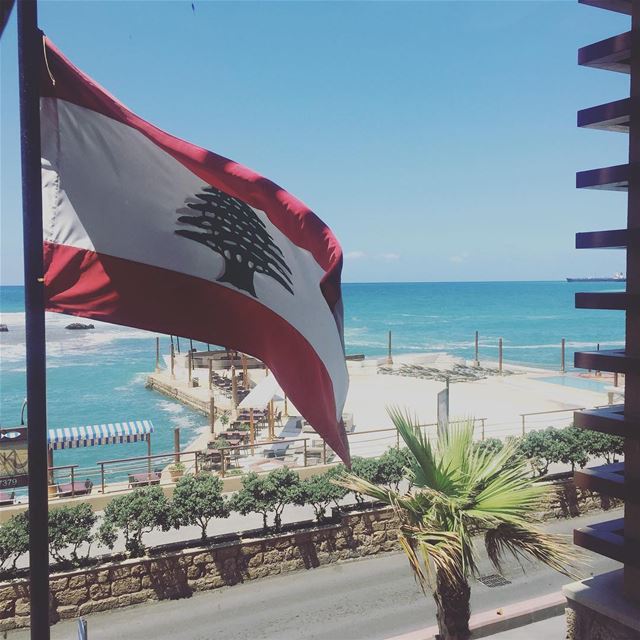 Proudly flying high. Happy Independence Day  lebanon  lebanontraveller ...