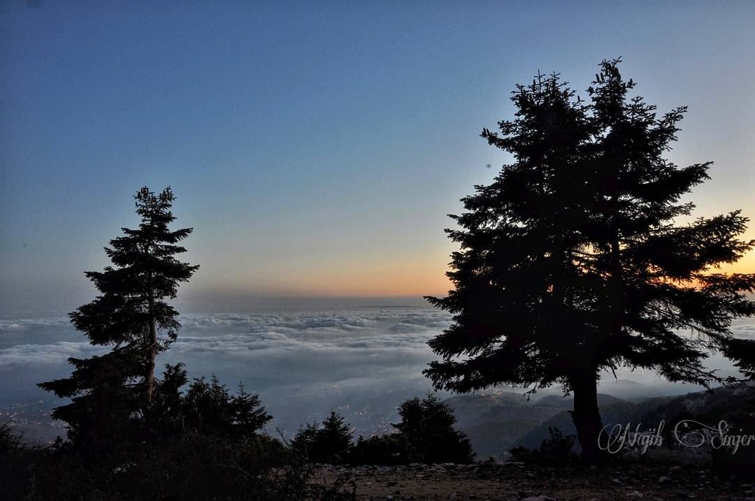  qamouaa  sunset  fog  woods  clouds  akkar  hiking  hikingadventures ... (القموعة-عكار العتيقة)