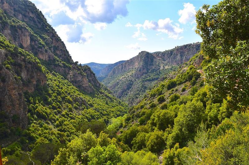 Qannoubine  Valley ... (Ouâdi Qannoûbîne, Liban-Nord, Lebanon)