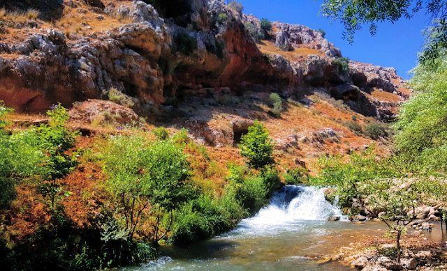  qilia  river  litaniriver  lebanon🇱🇧  lebanon  delaffe  instalike ... (Qilia نهر الدلافة)