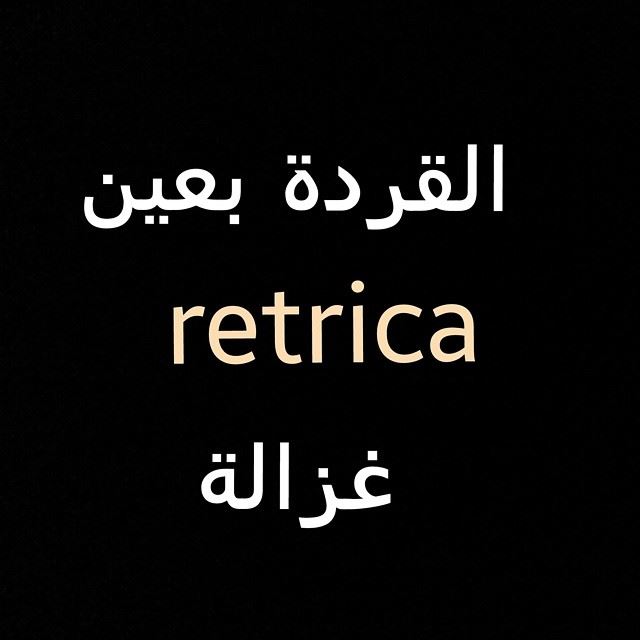 Quote of the day  قردة  غزالة  مثل_شعبي  retrica  filter  quote ...
